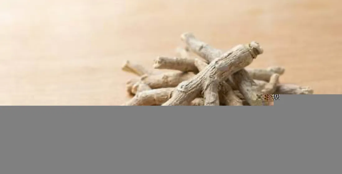 Ashwagandha Root vs Leaf for Capsule Formulators
