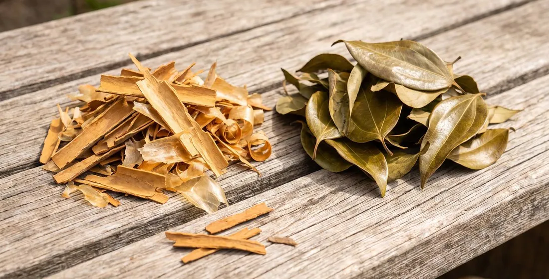 Bulk Cinnamon Chips and Cinnamon Leaf Spec Guide for Buyers