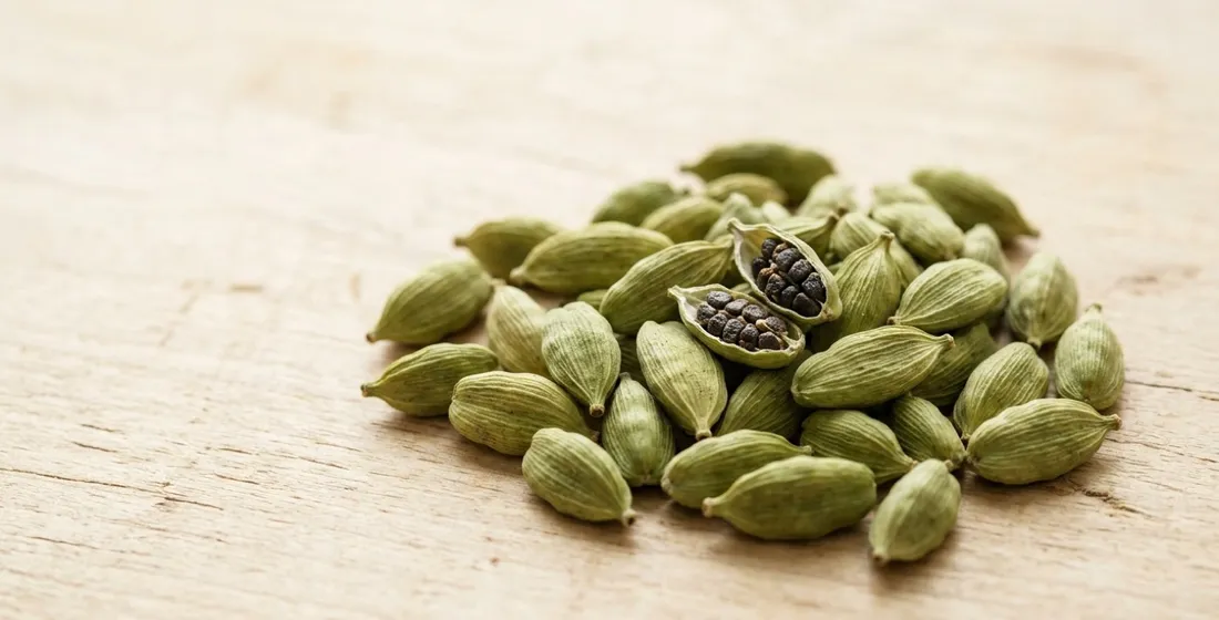 Cardamom Grading for B2B Buyers - AGEB, Bold, Supreme, and Price Tiers