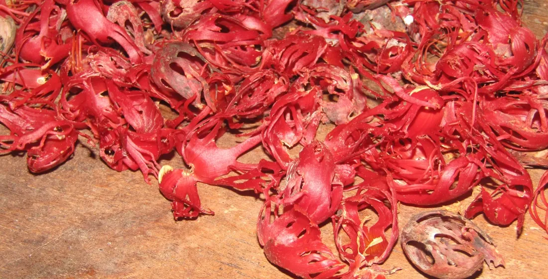 Ceylon Cloves, Nutmeg and Mace: The Procurement Spec Primer