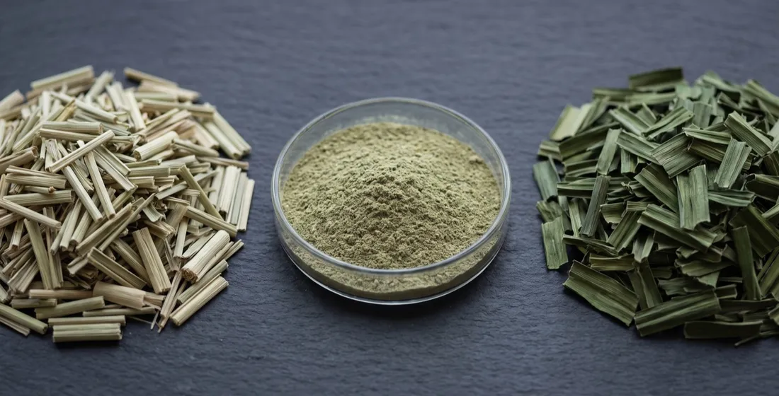 Ceylon Lemongrass and Pandan (Rampe): A Dried Leaf Spec Primer