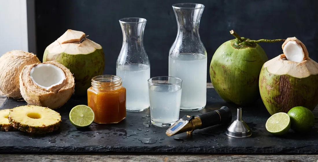 Coconut Water and Fruit Beverage Bases: The RFQ Spec Primer