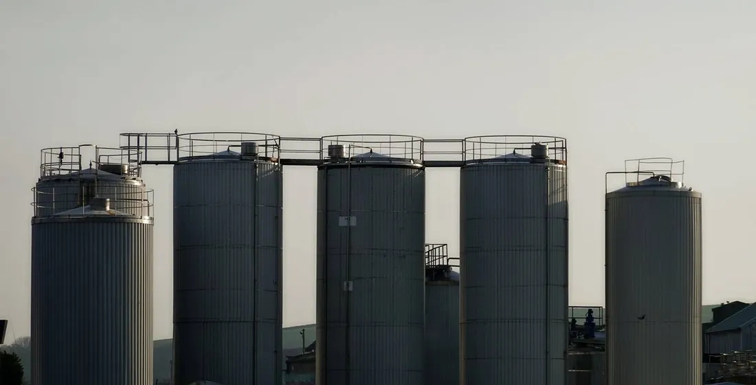 Fruit and Vegetable Powder Manufacturing Capacity: A Buyer's Guide