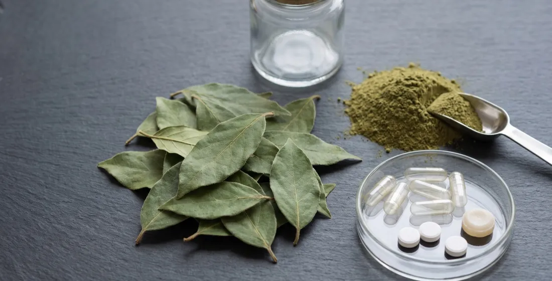 Gymnema (Gurmar) Delivery Formats: Capsule, Gummy, or Lozenge