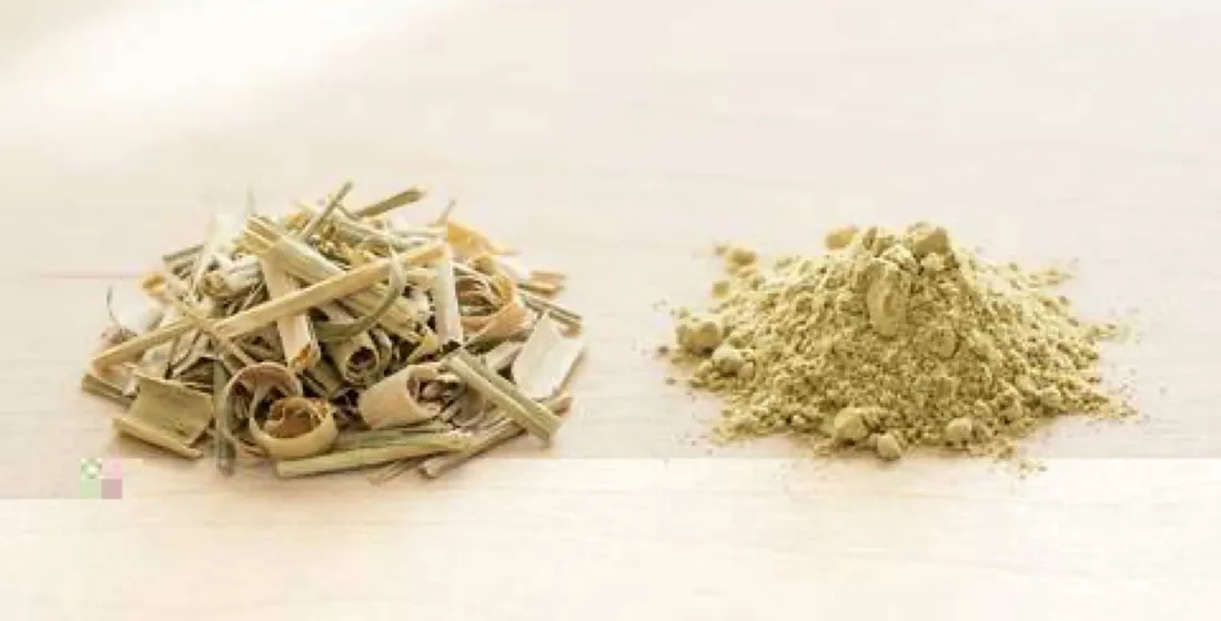 Sourcing Lemongrass Powder from Sri Lanka
