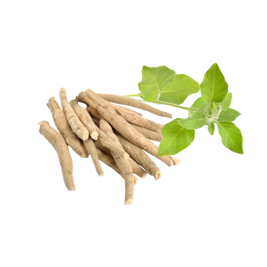 Ashwagandha Capsule